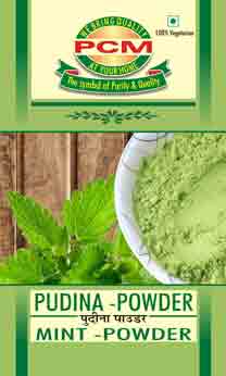 Pudina Powder