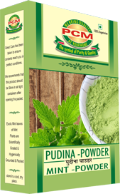 Pudina Powder